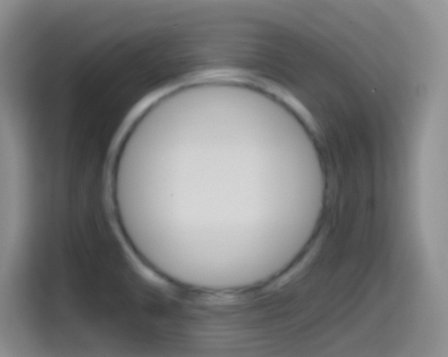X0000114661470200910201011