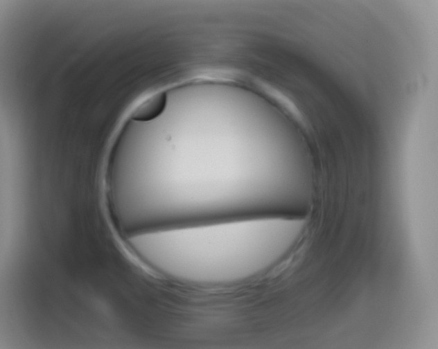 X0000114661471200910201011