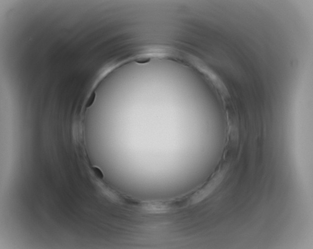 X0000114661473200910201011