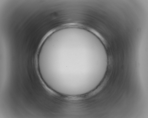 X0000114661474200910201011