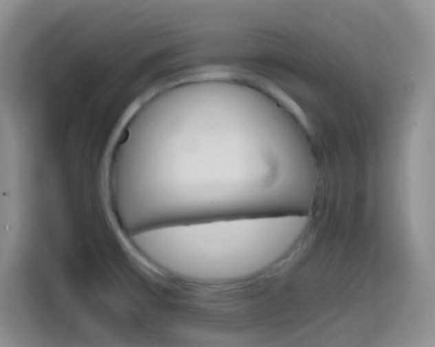 X0000114661475200910201011