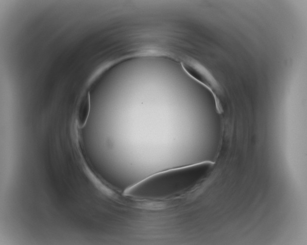 X0000114661476200910201011
