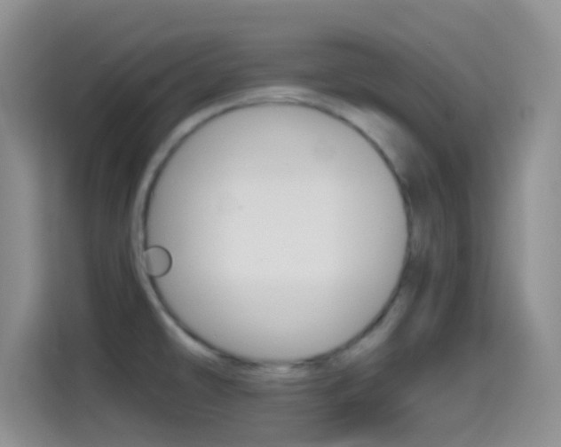 X0000114661478200910201011