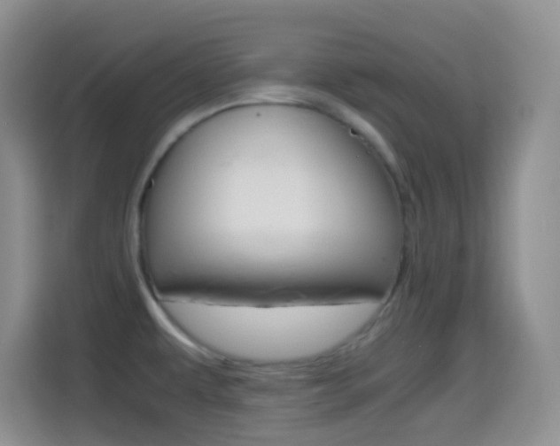 X0000114661479200910201011