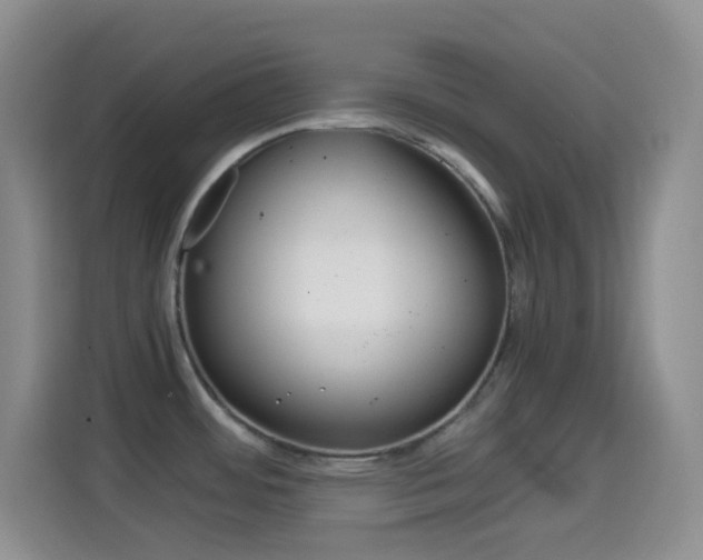 X0000114661484200910201011