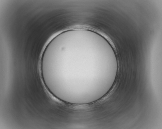 X0000114661486200910201011