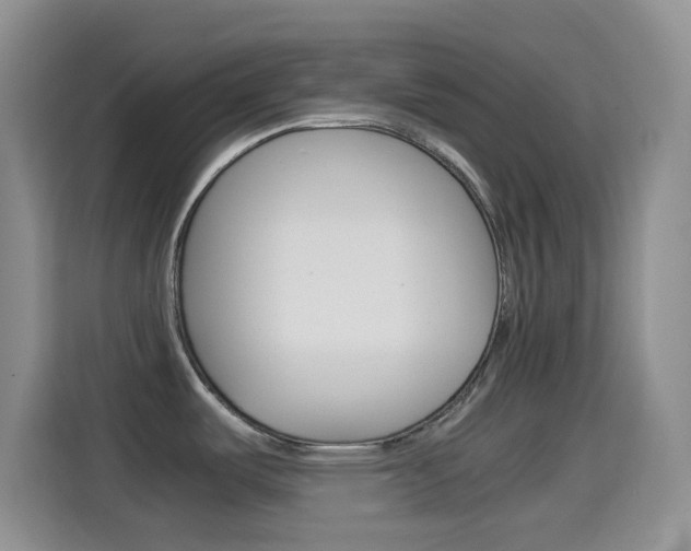 X0000114661487200910201011