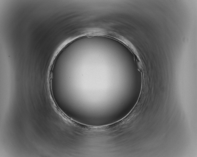 X0000114661488200910201011