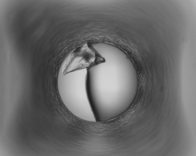 X0000114661489200910201010