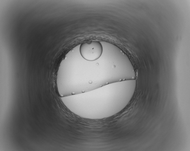 X0000114661491200910201010
