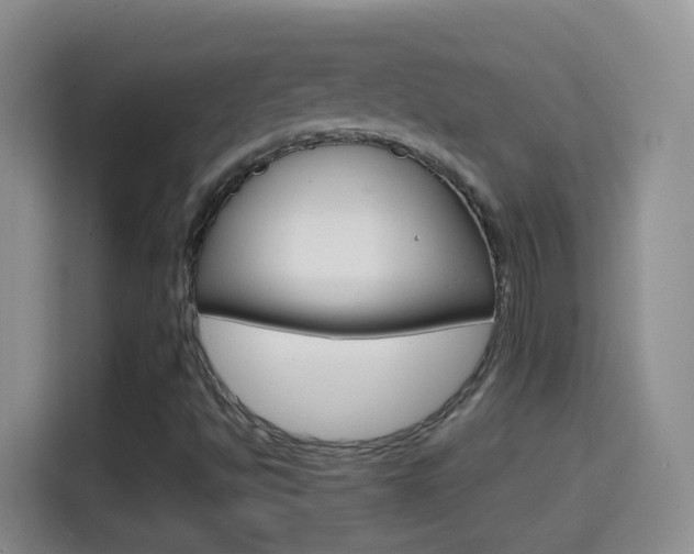 X0000114661494200910201010
