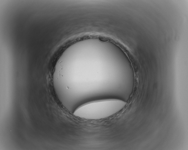 X0000114661495200910201010