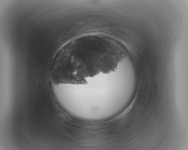 X0000114661497200910201010