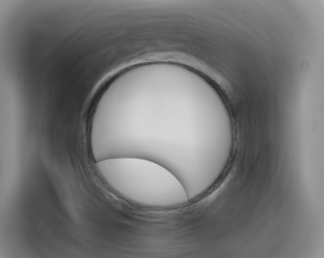 X0000114661498200910201010