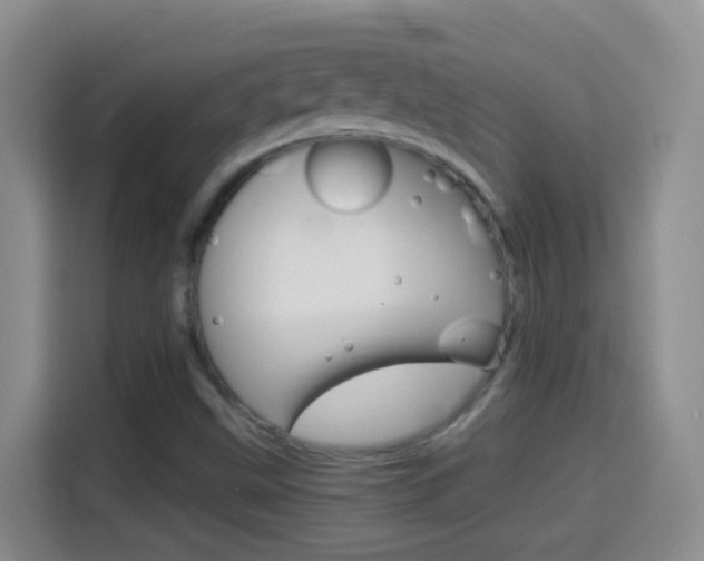 X0000114661499200910201010