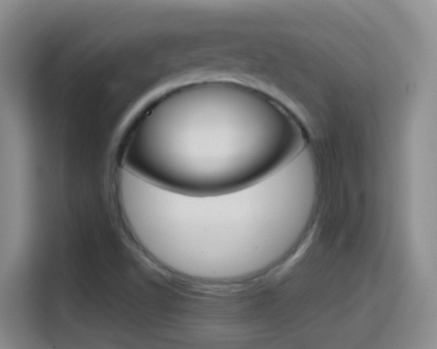 X0000114661502200910201010
