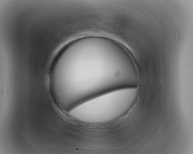 X0000114661503200910201010