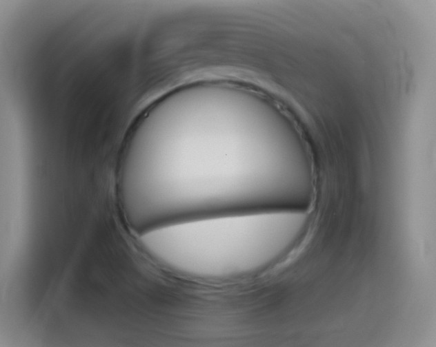 X0000114661505200910201010