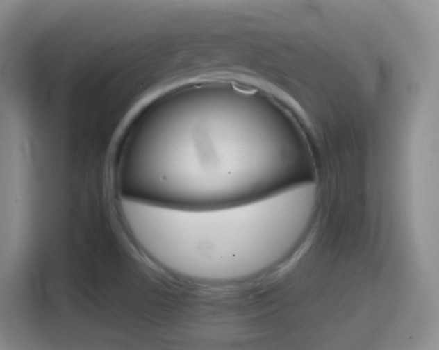 X0000114661506200910201010