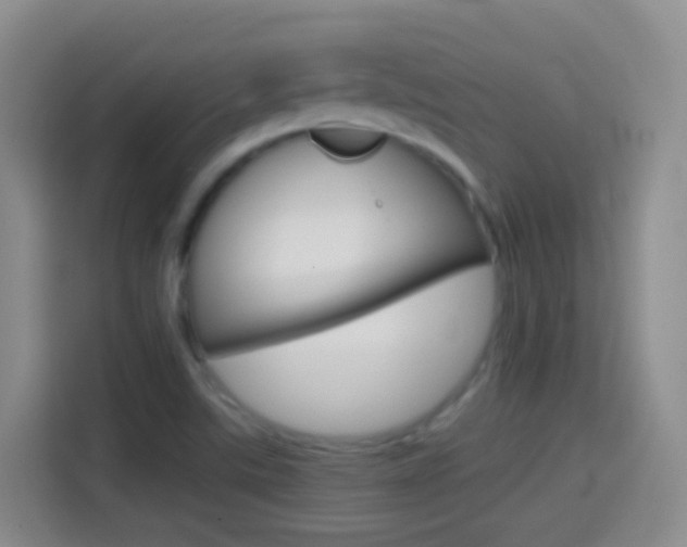 X0000114661507200910201010