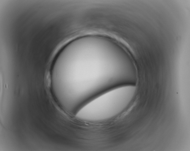 X0000114661509200910201010