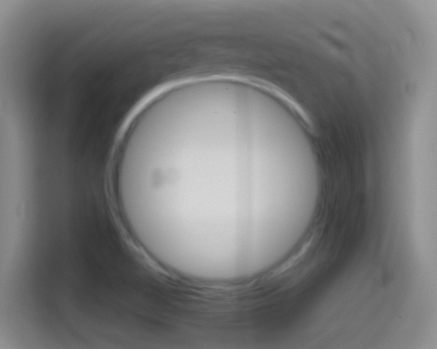 X0000114661510200910201010