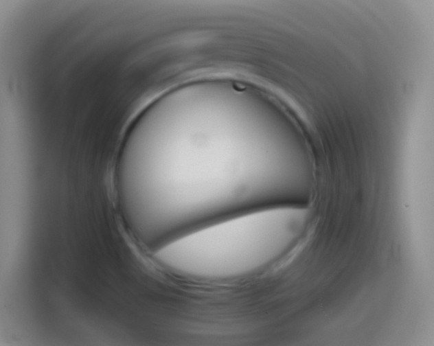 X0000114661513200910201010
