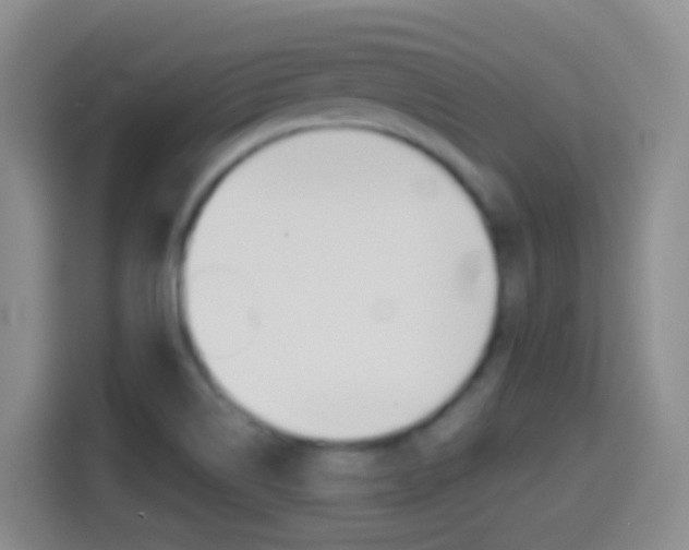 X0000114661514200910201010