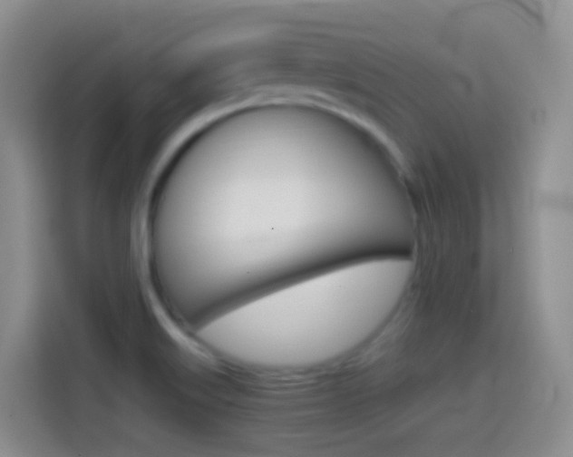 X0000114661515200910201010