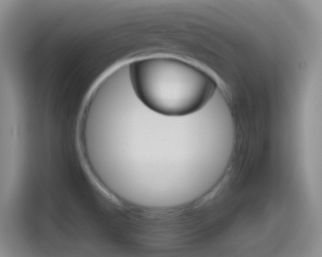 X0000114661518200910201010