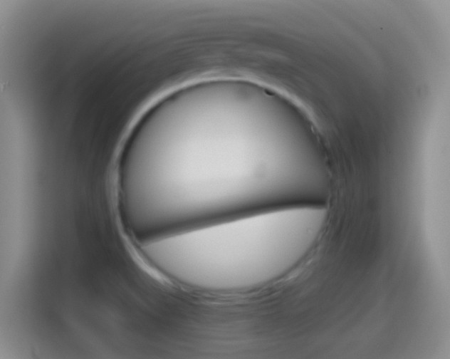 X0000114661519200910201010