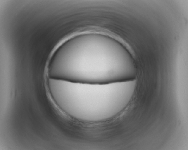 X0000114661522200910201010