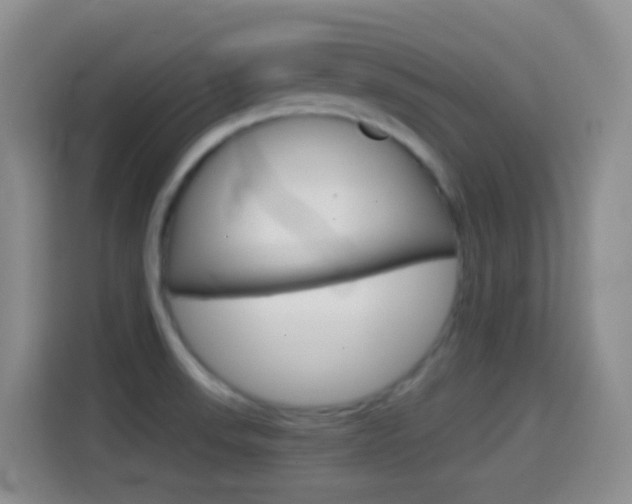 X0000114661523200910201010