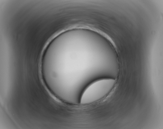 X0000114661525200910201010