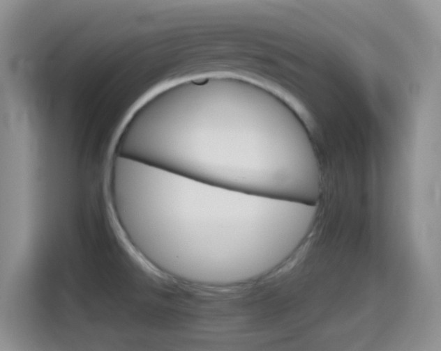 X0000114661526200910201010