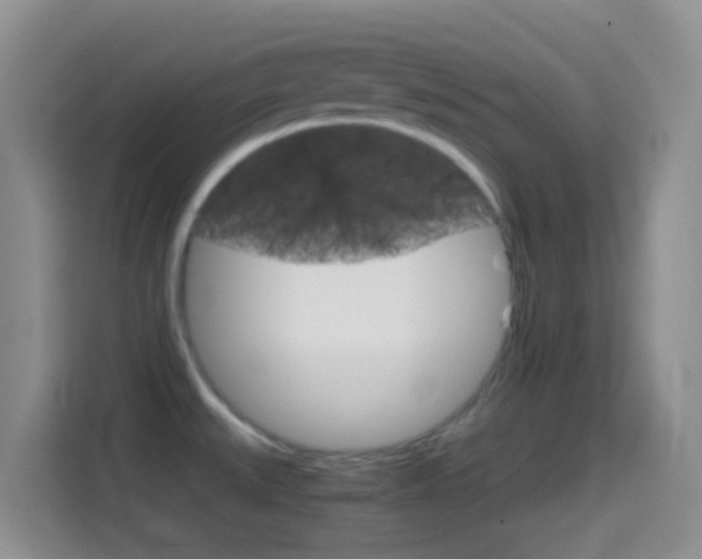 X0000114661527200910201011