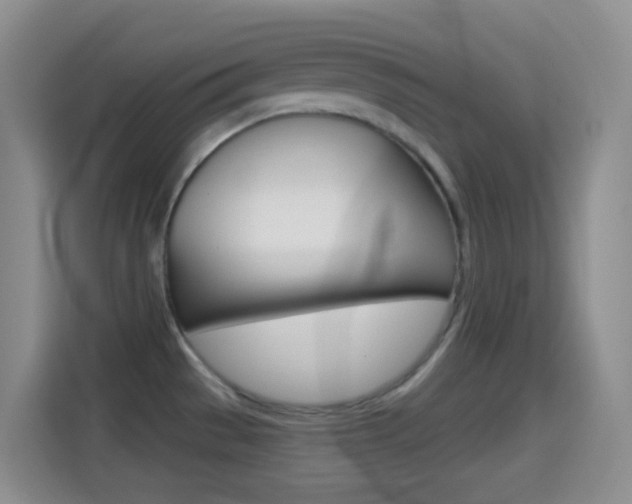 X0000114661529200910201011