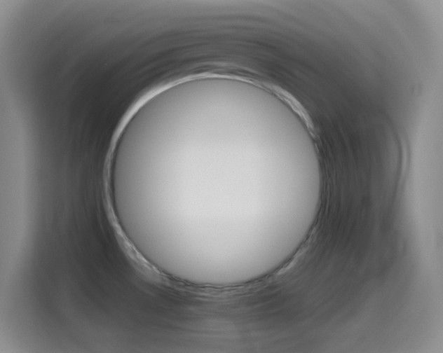 X0000114661530200910201011