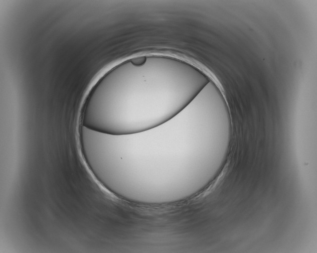 X0000114661533200910201011