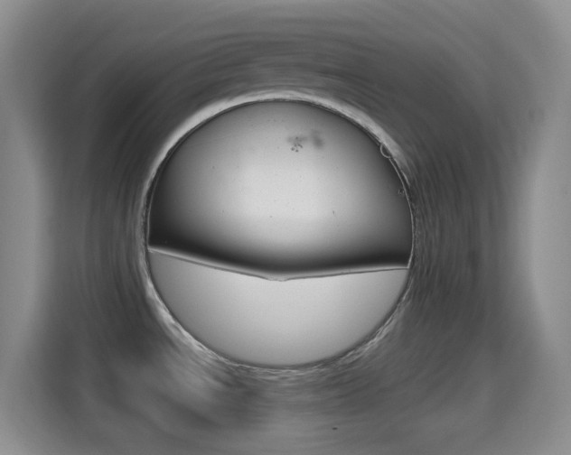 X0000114661534200910201011