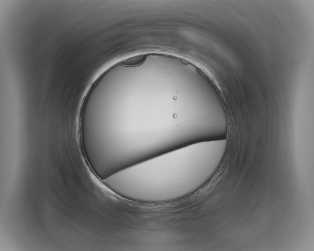 X0000114661535200910201011