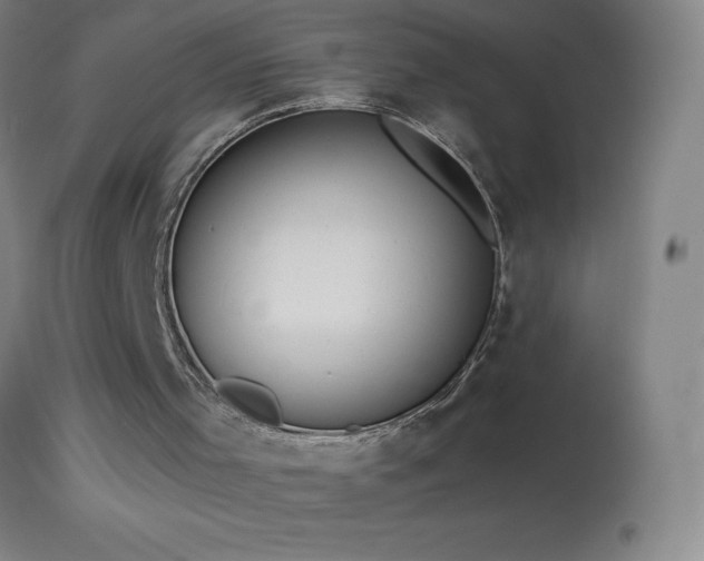 X0000114660001200910201541