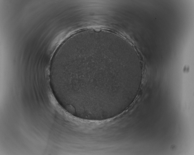 X0000114660002200910201541