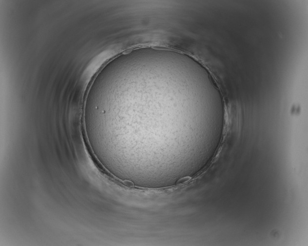 X0000114660003200910201541