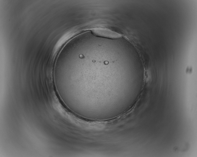 X0000114660004200910201541