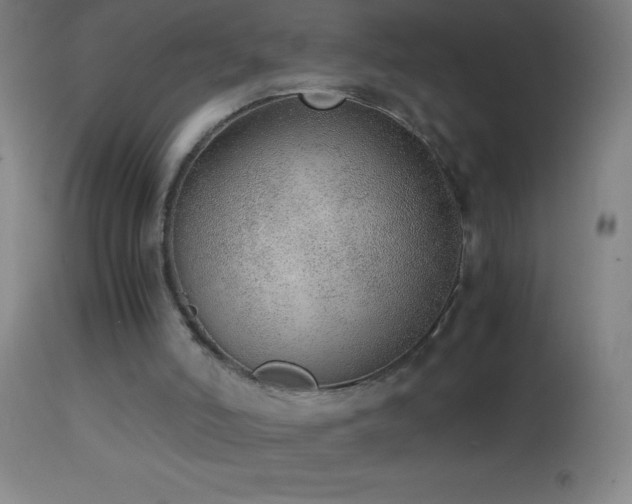 X0000114660006200910201541