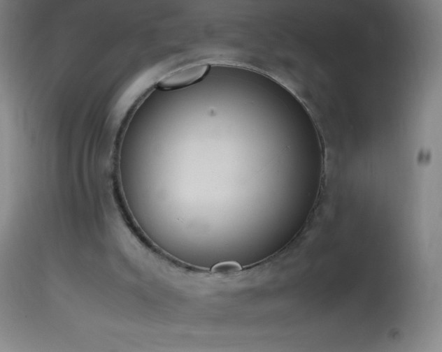 X0000114660007200910201541