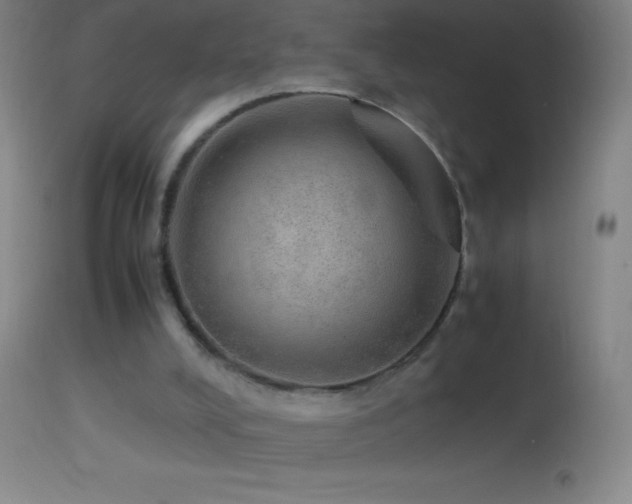 X0000114660008200910201541