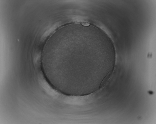 X0000114660009200910201541