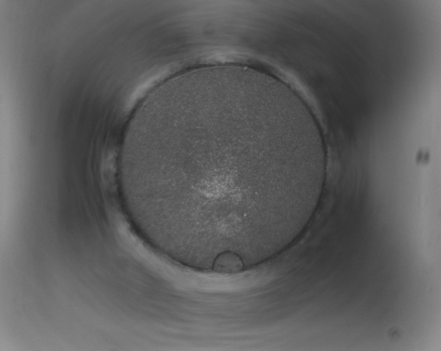 X0000114660010200910201541